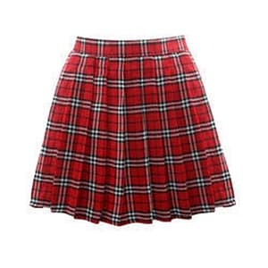 Skirt School Uniform