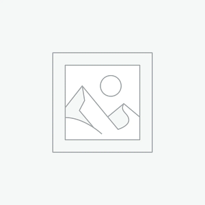 Corporate Female Top